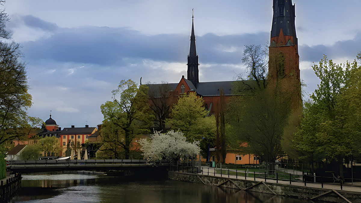 Artikelbild